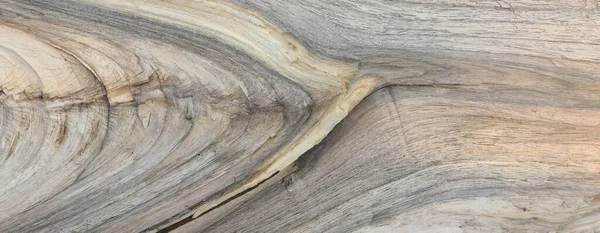 rough longitudinal wood cut,wood background and texture