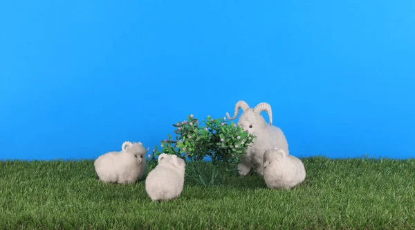 Zabawka Biały Baran Trawie — Zdjęcie stockowe