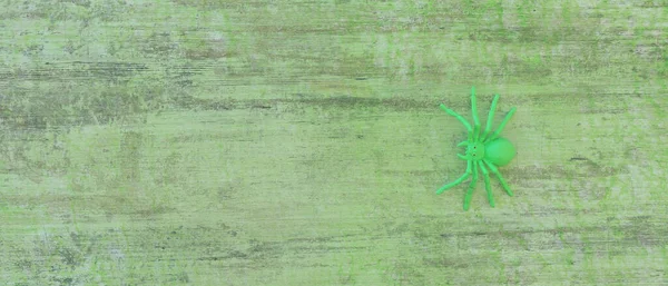 Zelený Plast Pavouk Zeleném Dřevěném Pozadí — Stock fotografie