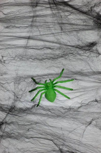 Pavouk Černé Pavučině Izolované Bílém Pozadí — Stock fotografie