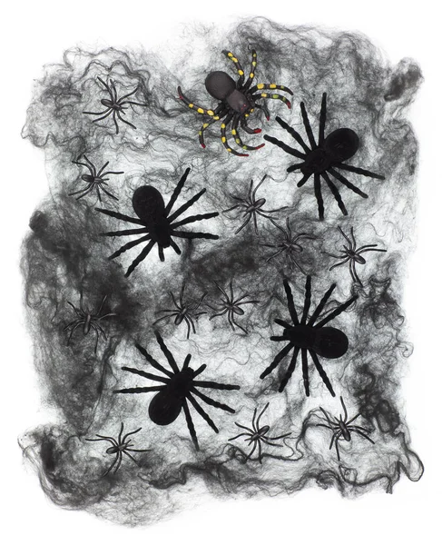 ハロウィンブラックコブとクモの白い背景 — ストック写真