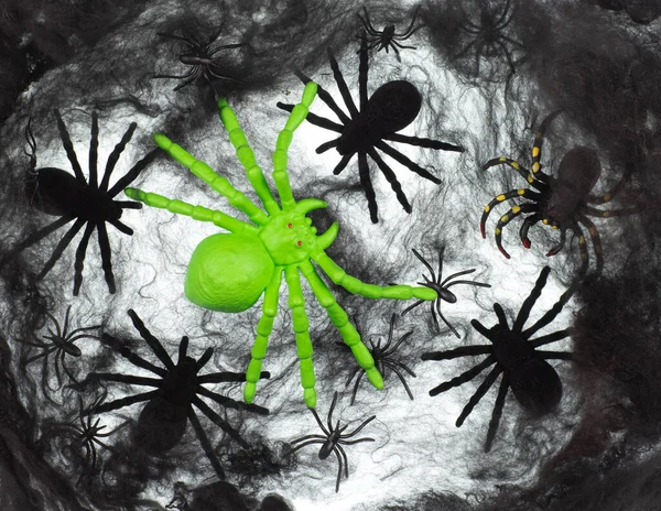 Halloween Černá Pavučina Pavouky Bílém Pozadí — Stock fotografie