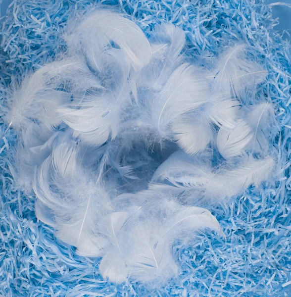 Blue Nest Easter Eggs Feathers Blue Background — Stock Photo, Image