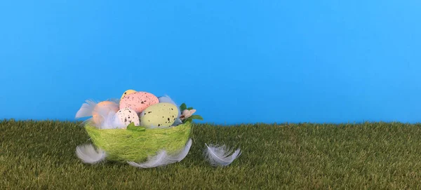 Пасхальные Яйца Зеленой Траве — стоковое фото