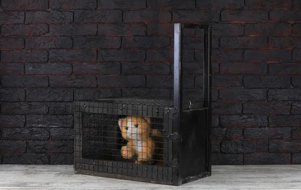 metal mesh animal trap cage