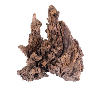 Akvaryum için eski bir tahta parçası beyaz arkaplanda izole edilmiş.