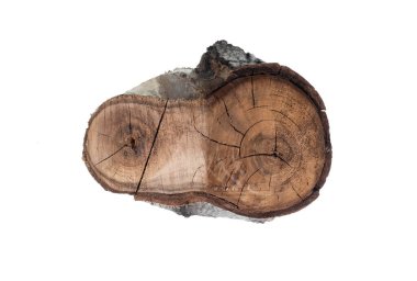 Beyaz arkaplanda izole edilmiş yıllık halkaları olan kesme ağacı