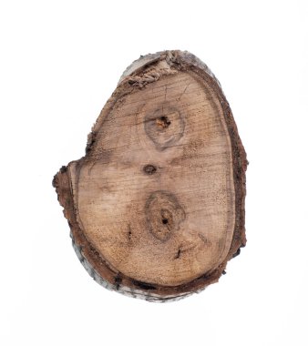 Beyaz arkaplanda izole edilmiş yıllık halkaları olan kesme ağacı