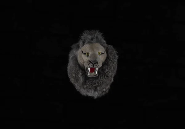 Löwe Mit Krone Auf Schwarzem Hintergrund — Stockfoto