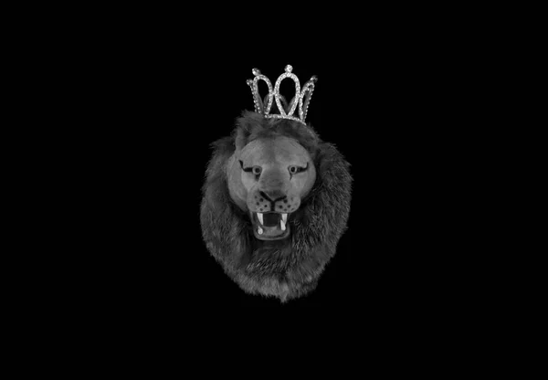 Lion Avec Une Couronne Sur Fond Noir — Photo