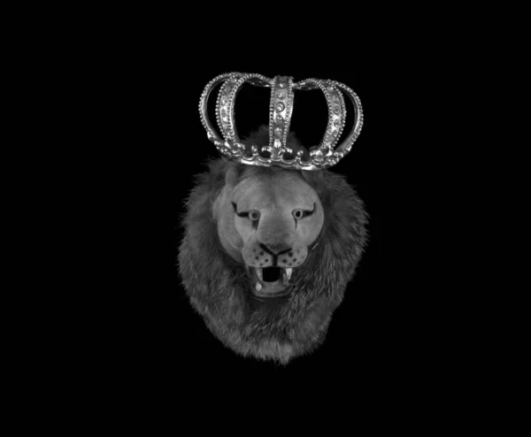 ライオンと王冠を背景に — ストック写真