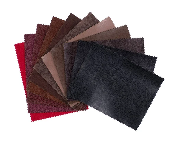 Beyaz arka planda renkli deri örnekleri