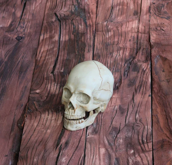 Human Skull Wooden Background — Stock Photo, Image