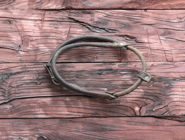 horse stirrup,horse bridle on wooden table