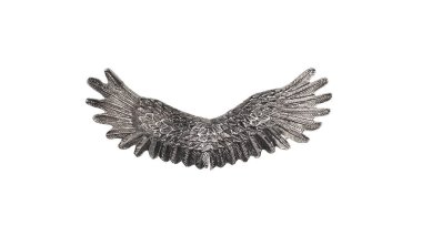 iron angel wings isolated on white background