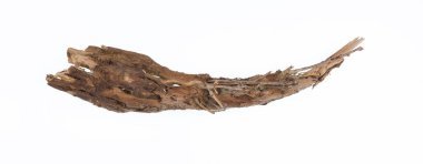 dried wooden root snag isolated on white background