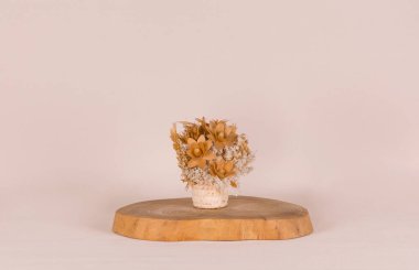 Soluk pembe arka planda izole edilmiş kuru çiçek demeti.