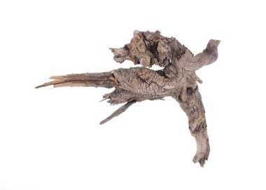 beyaz arka planda izole edilmiş eski bir tahta parçası.