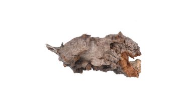 beyaz arka planda izole edilmiş eski bir tahta parçası.