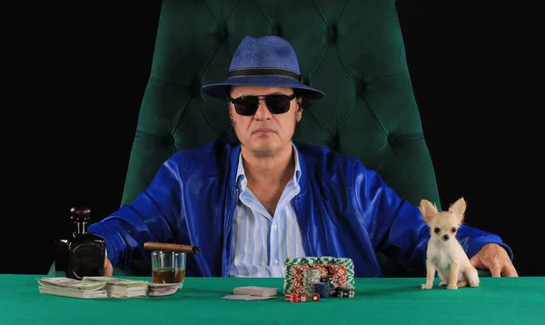 Portret Hazardzisty Pokerzysty Małego Psa — Zdjęcie stockowe