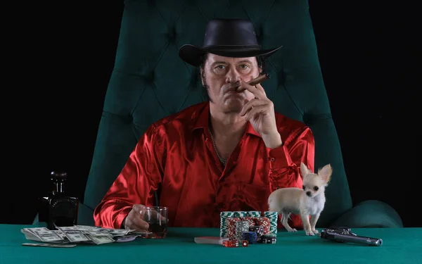 Porträt Eines Männlichen Spielers Pokerspielers Kleinen Hundes — Stockfoto