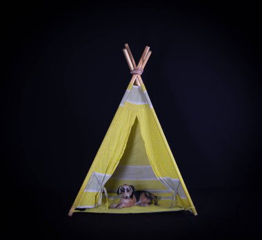 Siyah arka planda çocuklar için wigwam