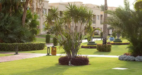  Yaz otelinde tropikal bitki örtüsü