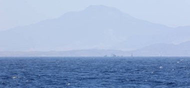 Sharm El Sheikh 'teki Mısır plaj beldeleri