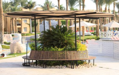 Tropik yaz otelinde egzotik palmiyeler