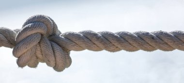 Deniz zemininde deniz ipi