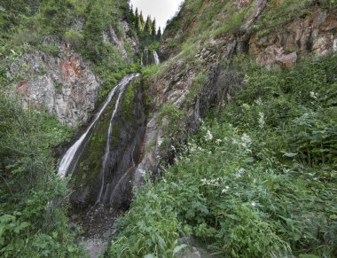 Yazın bir dağ geçidinde güzel bir şelale