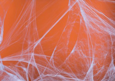 beyaz arkaplanda beyaz örümcek ağı