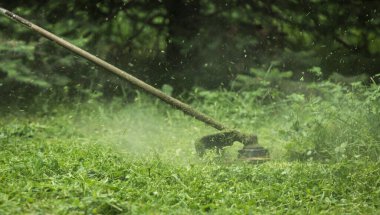 Çim biçme makinesi çimleri biçiyor.