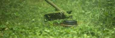 Çim biçme makinesi çimleri biçiyor.