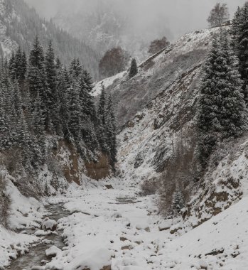 Karlı dağ tepeleri, Kazakistan, Zailiyskiy Alatau