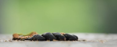 Betonun üzerindeki eski iş eldiveni