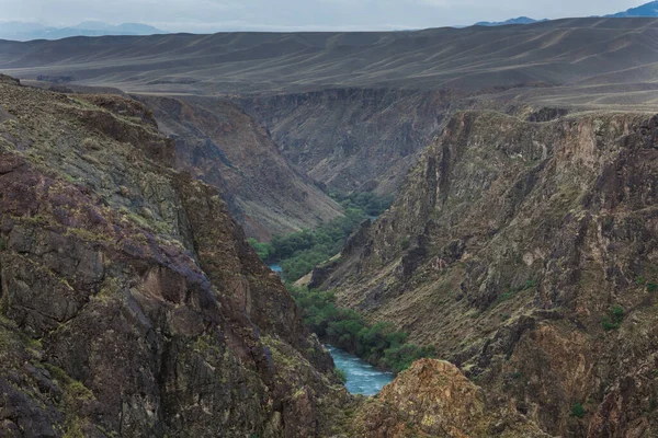 Река Лесом Глубоком Каменном Каньоне Вид Сверху — стоковое фото