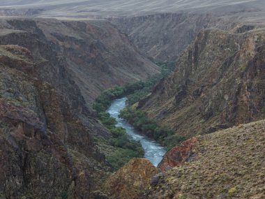 Derin taştan bir kanyonda ormanı olan bir nehir.