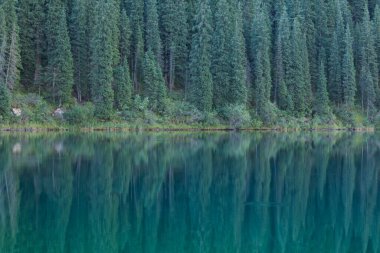 Kazakistan 'daki Kolsai Dağı' nın güzel manzarası.