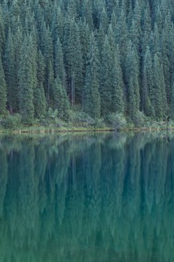 Kazakistan 'daki Kolsai Dağı' nın güzel manzarası.