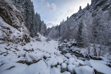 Nehir kozalaklı ormanlarda Kışın dağlarda