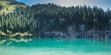Kazakistan 'da batık ormanlı eşsiz bir dağ gölü olan Kaindy.