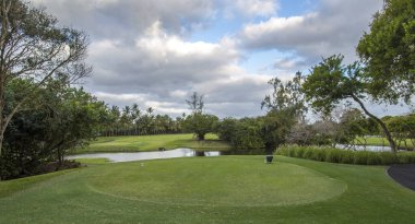 Mauritius 'ta palmiye ağaçları olan golf sahası
