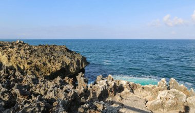 Egzotik bir tropik adada deniz kıyısında.
