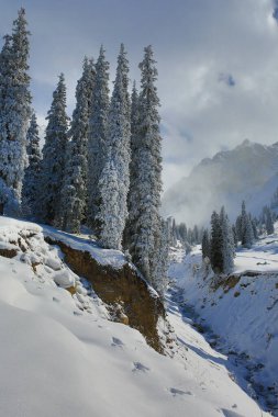 Yazın muhteşem dağ manzarası
