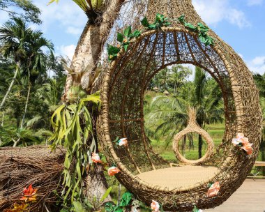 Tropik Palmiye Ormanı