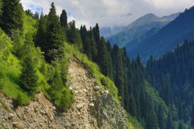 Yazın muhteşem dağ manzarası, Kazakistan, Kırgızistan