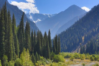 Yazın muhteşem dağ manzarası, Kazakistan