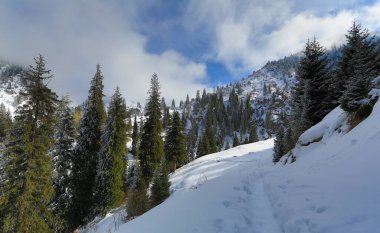 Yazın muhteşem dağ manzarası, Kazakistan