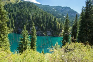 Kazakistan 'da batık ormanlı eşsiz bir dağ gölü olan Kaindy.